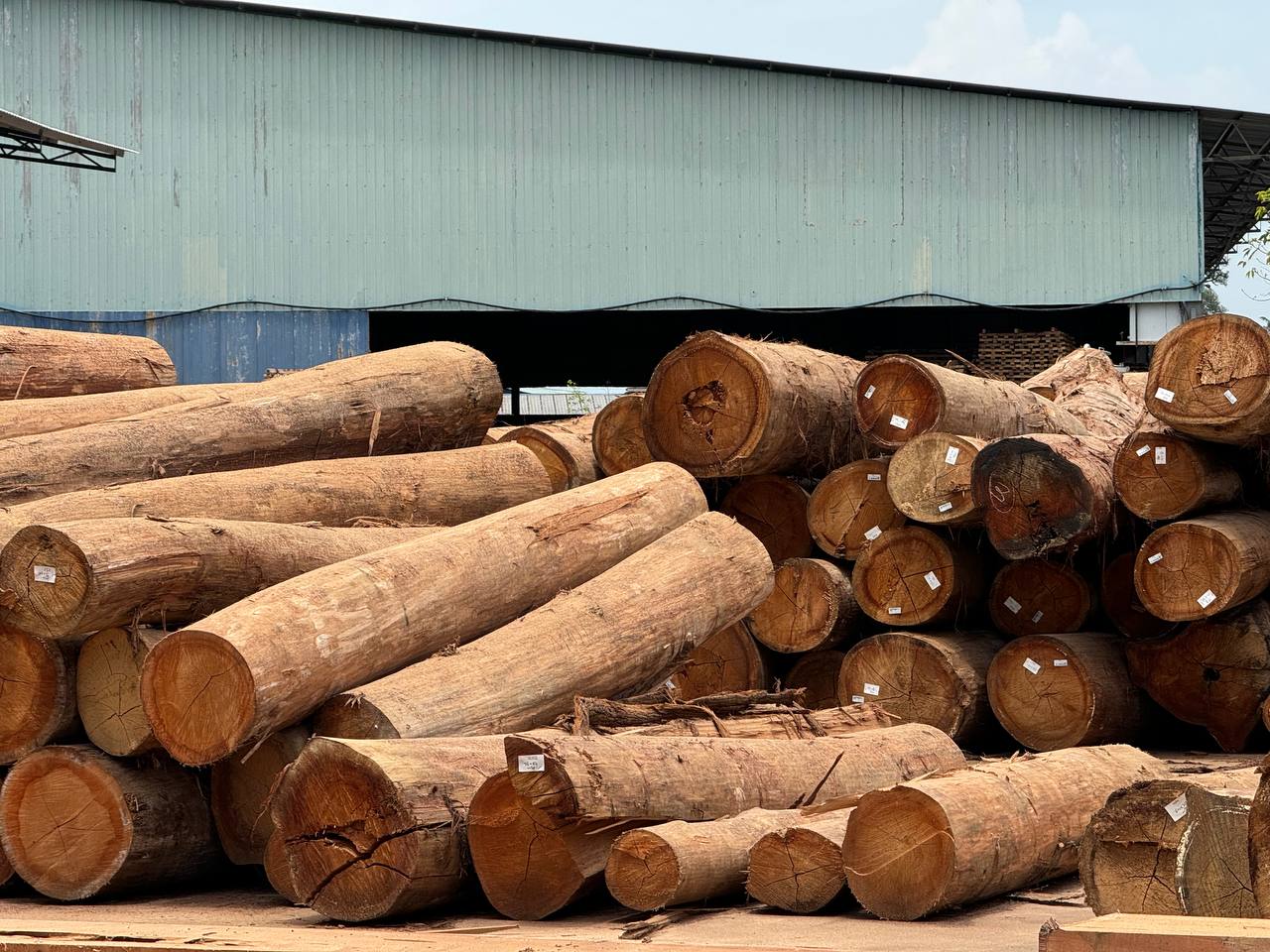 Meranti Timber Suppliers | Meranti Supplier Malaysia | Meranti Timber Supplier Malaysia | Timber Industry